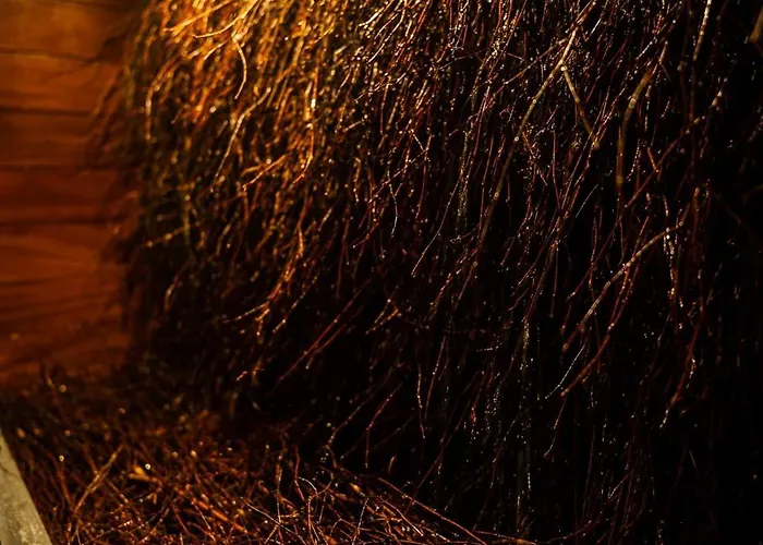 Na Bloniach ビエルスコ・ビアバ